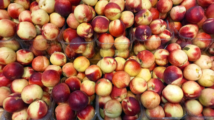 Nectarines. Fresh subtropical fruits for sale on farmers market