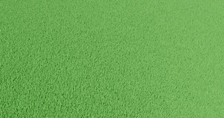 green texture background