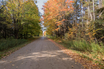 Obraz premium A road enveloped by fall colors