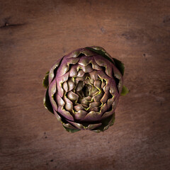 Fototapeta premium Artichokes - green and violet Artichoke 