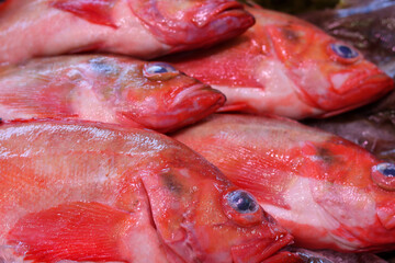 Fresh fish on local fish market. Beautiful raw fish close up photo. Healthy eating concept. 
