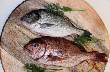 Raw Gilt-head Bream of two different types on a table. Fresh fish on cutting board. Eating fresh concept. 