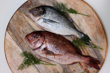Fresh fish on wooden cutting board. Uncooked Dorada Fish on a table. Healthy eating concept. 