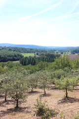 Fototapeta premium Beautiful wide view over the French mountainous landscape of the Dordogne. Photo was taken on a hot day in summer.