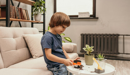 an enthusiastic little boy is sitting on the sofa and transplanting plants at the table in the room