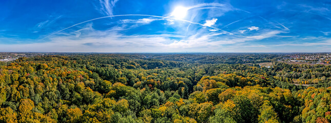 las z lotu ptaka jesienią w okolicach Wodzisławia Śląskiego