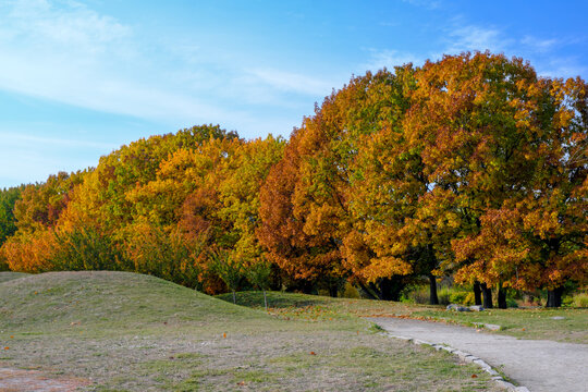 Natural picture of the colors of autumn