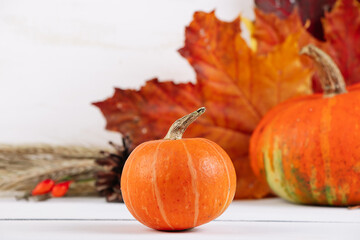 Ripe orange pumpkins and maple leaves on white background. Autumn harvest and Thanksgiving concept.