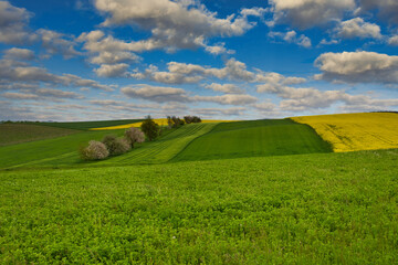 felder und Wisen im Frühling bewölkter HImmel