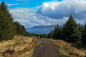 Fototapeta na wymiar Forest Path with a View, Isle of Skye