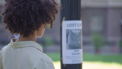 Curly haired woman putting up missing cat poster, volunteer helping to find pet
