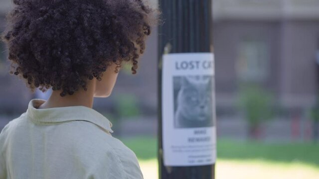 Curly haired woman putting up missing cat poster, volunteer helping to find pet