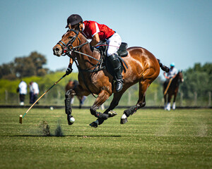 Deporte a caballo