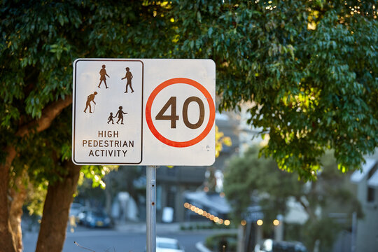 School zone sign on leafy street