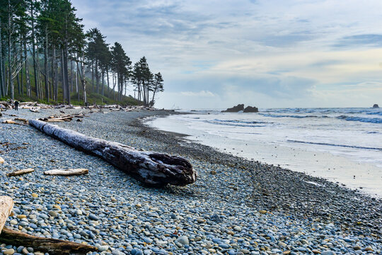 Ruby Beach Shoreline