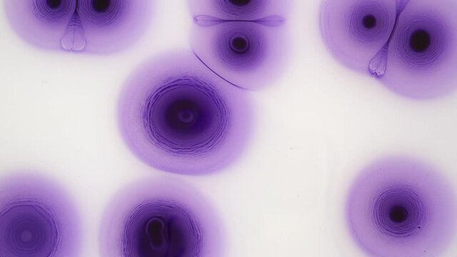 Abstract liquid effect. The blue balls grow and spread on a white background in water. Ink in liquid. Close-up. Floating particles.