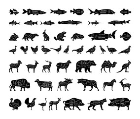Vector collection of fishes, animals and birds with cutting lines. 