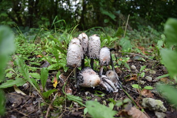 seuls au milieu de tous