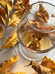 alcohol glass of cognac whiskey brandy autumn leaves drink
