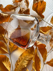 autumn cognac glass whiskey brandy drink