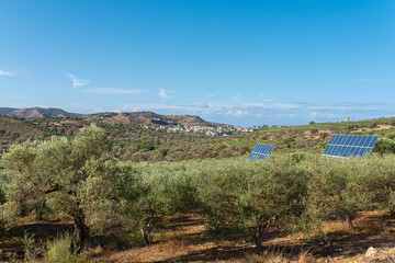 Fototapeta na wymiar Renewable energy production with solar cells in the olive groves of the small village Pitsidia in the south of Crete. The village is located between the Ida mountains and the mediterranean