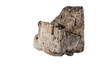 Obraz premium Macro mineral stone Schorl, Black Tourmaline on the feldspar on a white background