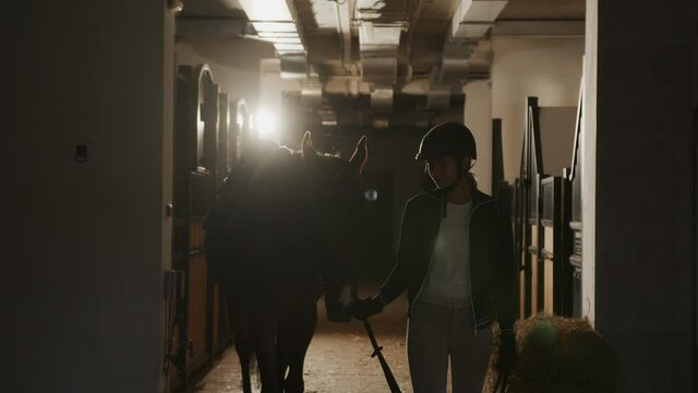 Horse and woman silhouette in barn holding a strapper while walking through the stable. Racehorse and jokey concept