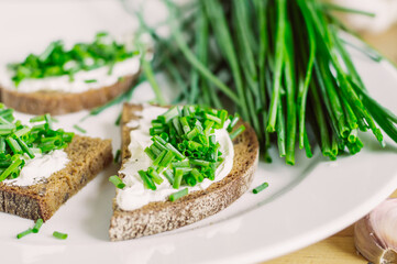 rye bread sandwiches with fresh cheeses and green onions