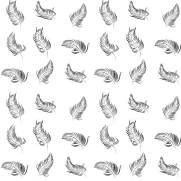 Seamless pattern background texture print feathers for textile or packaging