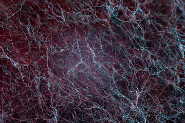 red abstract background textured background. macrophotography of mold. Mold filaments and crystals, like a neural network