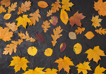 texture of autumn leaves on black background