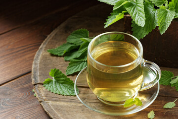 Lemon balm herbal tea in glass cup with fresh plant close, melissa officinalis herb is used for...