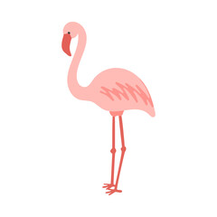 Standing cute pale pink flamingo vector illustration