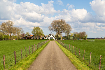 Fototapeta na wymiar Access road to a Dutch farm in the countryside in the polder area.