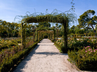 Path of vines and flowers in a park.