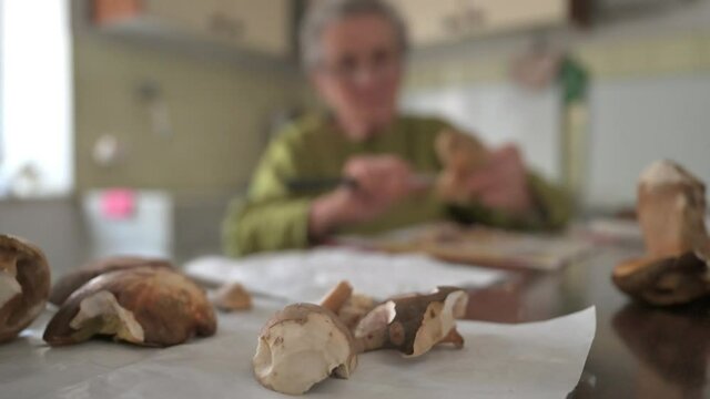 Lavorazione funghi porcini