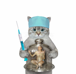 An ash cat doctor in a medical hat holds a syringe and a glass flask with man inside. White...