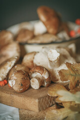 mushrooms on a cutting board