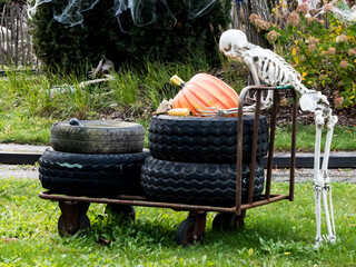 Human skeleton mockup. Halloween concept.