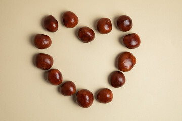 Heart made of beautiful shine chestnut. Cool idea. autumn.