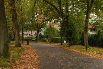 Naklejka premium Red and orange autumn leaves in the street.