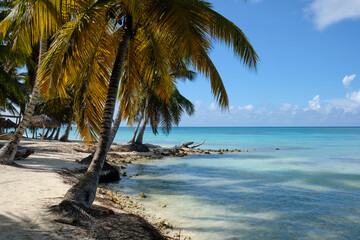 Beautiful seascape. Saona Island and the Caribbean Sea.