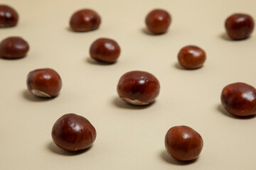 Brown wild chestnut pattern. Light brown bacgkround. 
