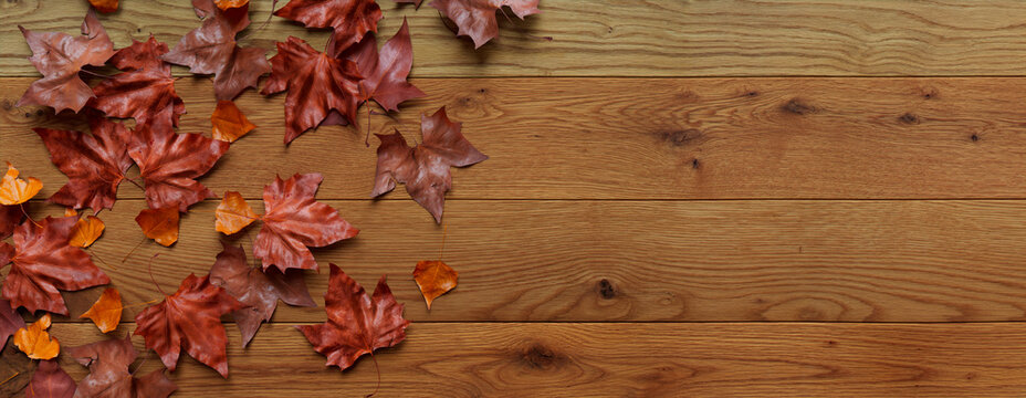 Fall Background.