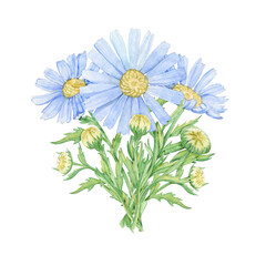 Fototapeta na wymiar a watercolor image made by hand of a cute bouquet of blue daisies. Suitable for invitations, greeting cards, calendars, planners