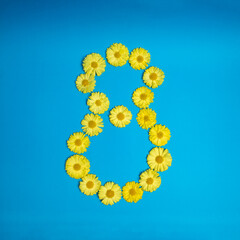 Obraz premium Number eight 8, made of yellow flowers. Blue background. 