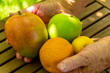 person holding fruit