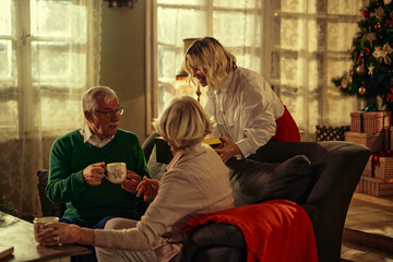 Daughter surprising her parents with Christmas present.