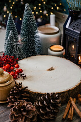 Winter Christmas Holiday Decoration