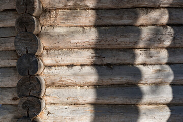 Background with a tree (cut tree).